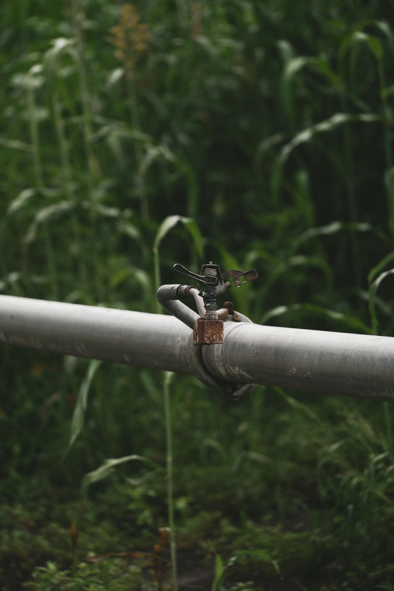 Sprinkler irrigation system